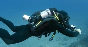 揭秘《蓝色星球2》中的无气泡潜水设备 科技与自然的完美融合